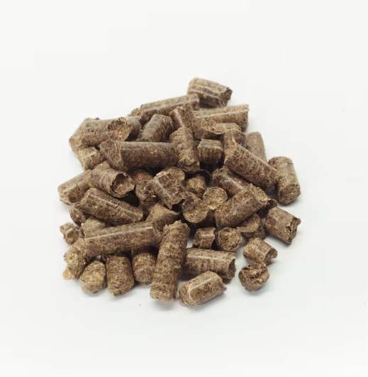 Houtpellets: Duurzame Warmte en Lagere Stookkosten in Eén
